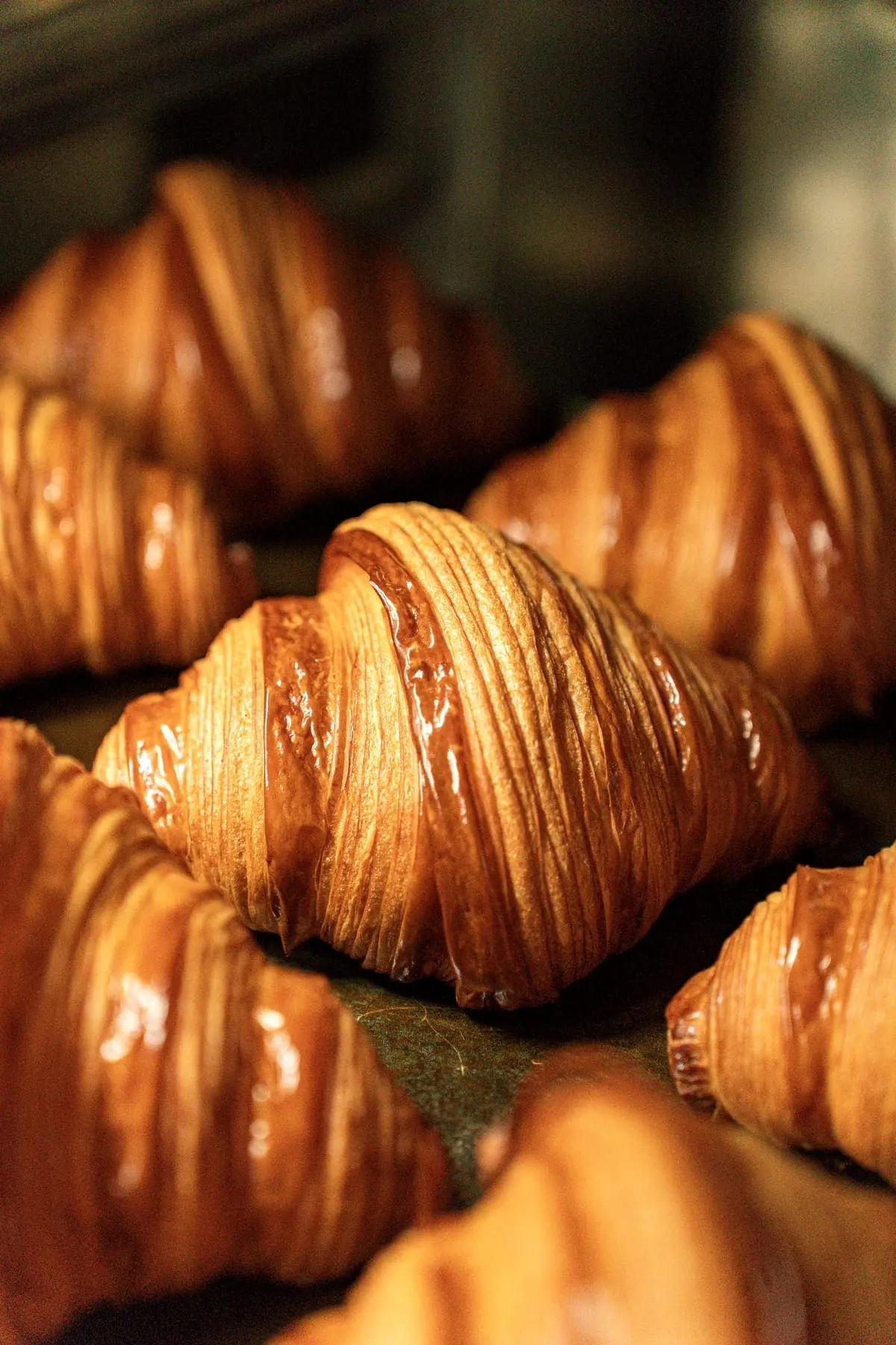 Golden, deeply layered croissants straight from the oven.