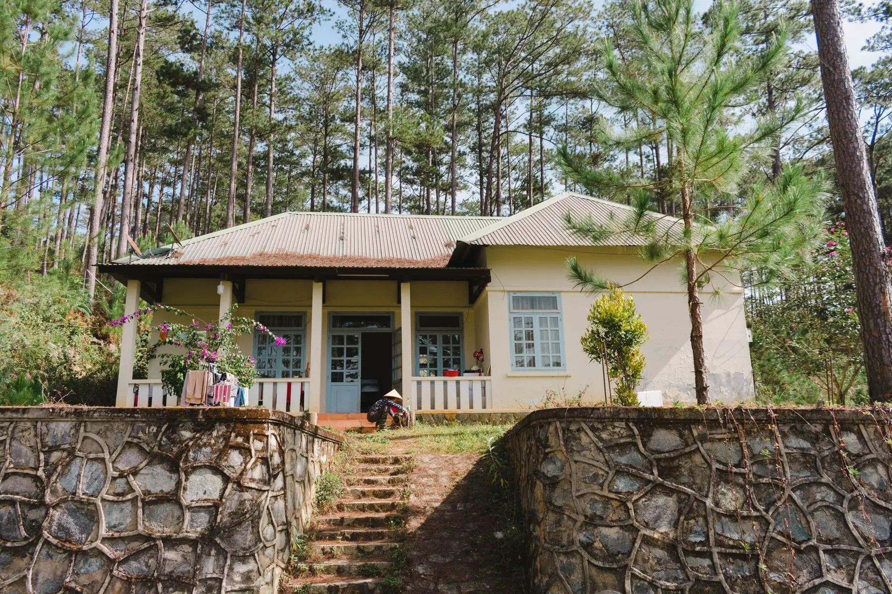 A low bungalow with a verandah and green shutters among tall pine trees.