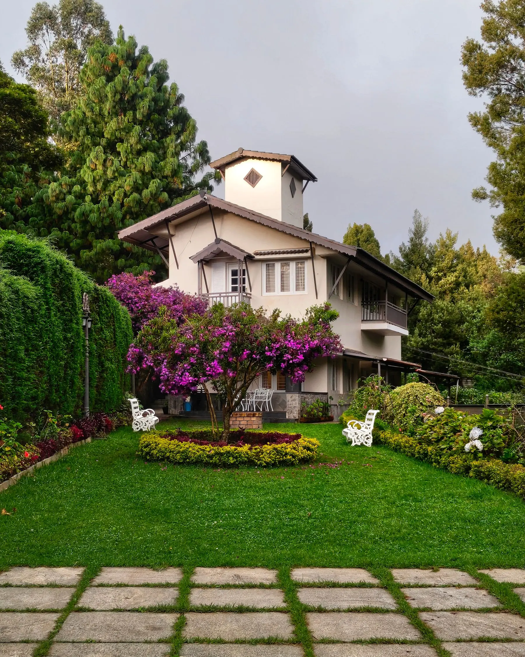 The whole house behind a lawn with a bougainvillea in flower.