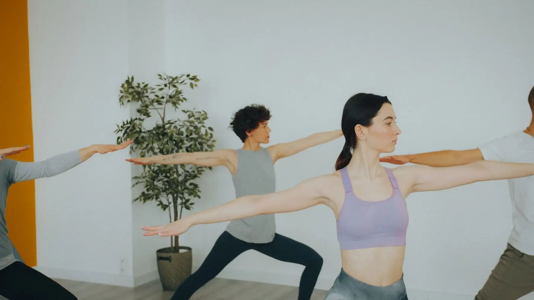 Two women hold a warrior pose on mats in a bright studio, a leafy plant behind them.
