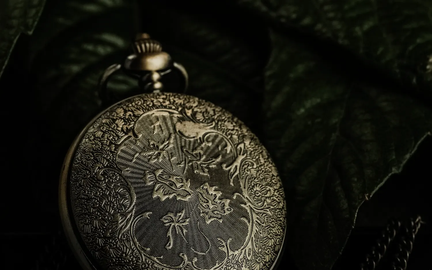 The engraved case back of a brass pocket watch, lying among dark green leaves and lit from one side